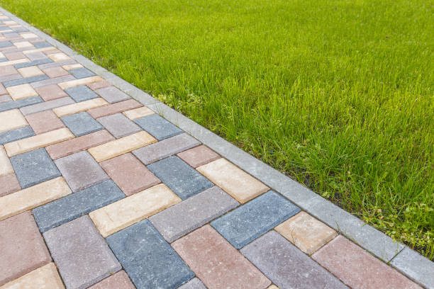 Best Decorative Driveway Pavers  in Trinity, TX